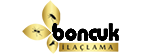 Boncuk Böcek İlaçlama